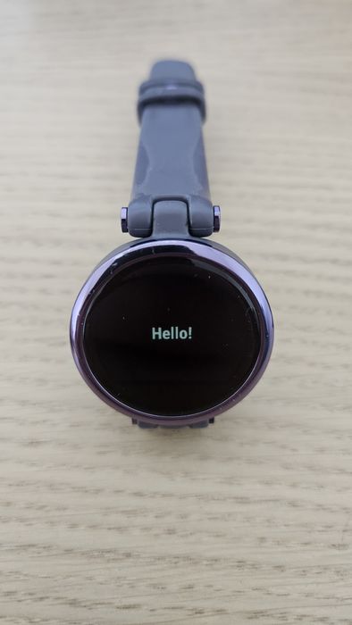 Ceas smart Garmin LILY