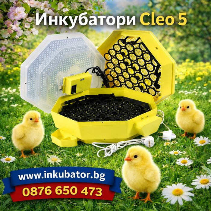 Инкубатори за яйца Клео 5, различни модели, ниски цени