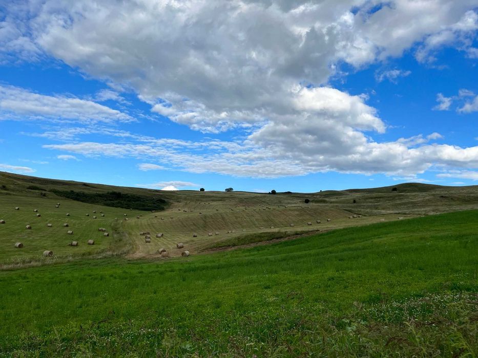 Vand baloti fan CERTIFICAT ECO an 2024