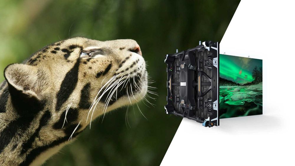 Realizare Magazin online sau site de prezentare