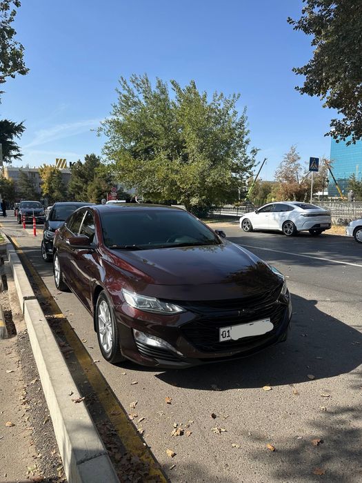 Malibu Premier 2021 темно бордовый