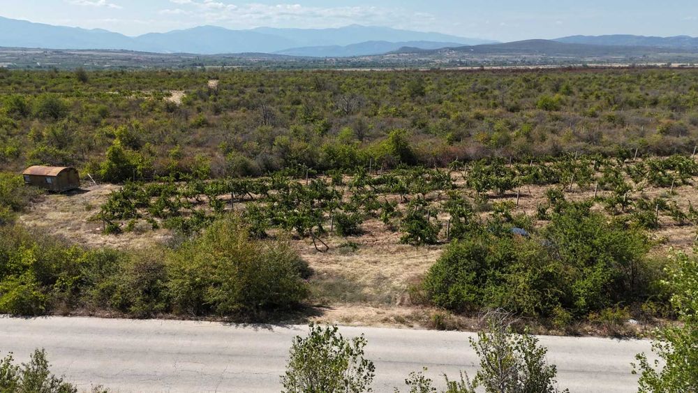 Продава се Парцел в с. Виноградец, Област Пазарджик - 3200 кв.м за 2 €/кв.м - Снимка #2