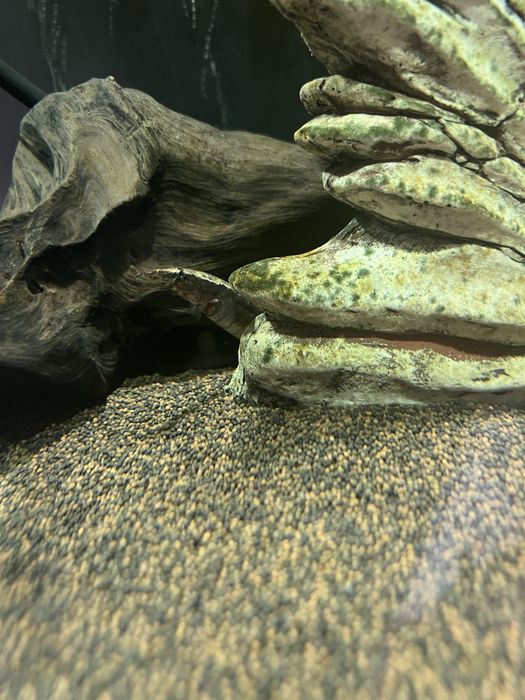 Продам аквариум 330 литров