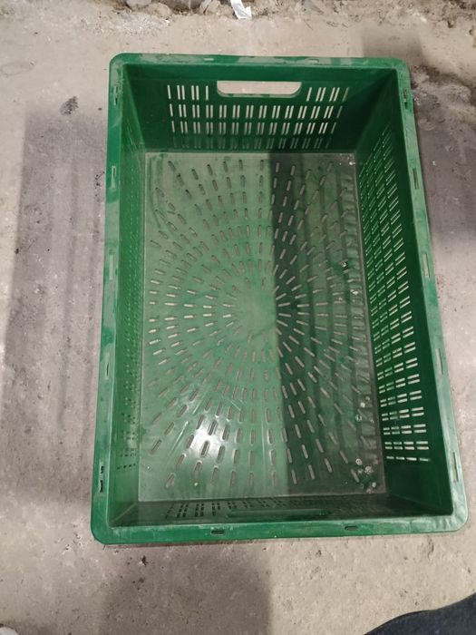 Продам пластиковые ящики