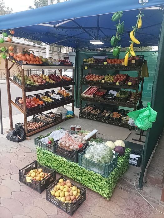 Тайёр бизнес сотилади мева -сабзаводлар