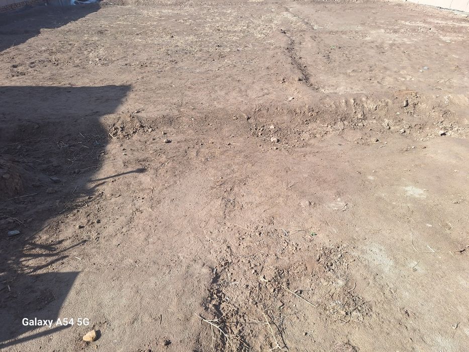 Joy plon sotlad manzl xiyva yo'l versal to'yxona orti