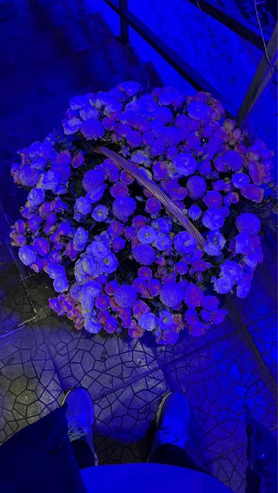 Цветы большие свежие