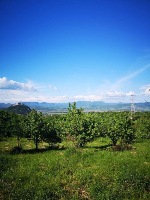 Vand 1330mp teren intravilan zona Mos Opinca