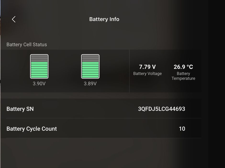 Dji mini 2 fly more combo