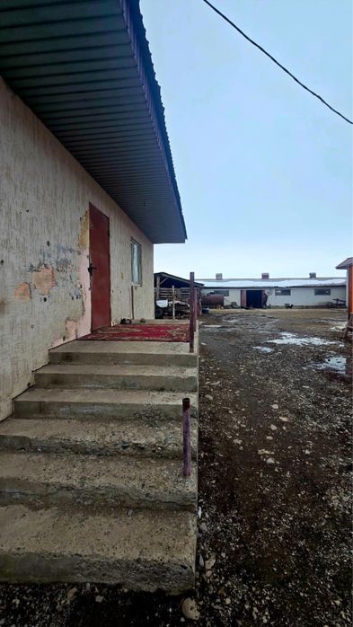 Продается откорм