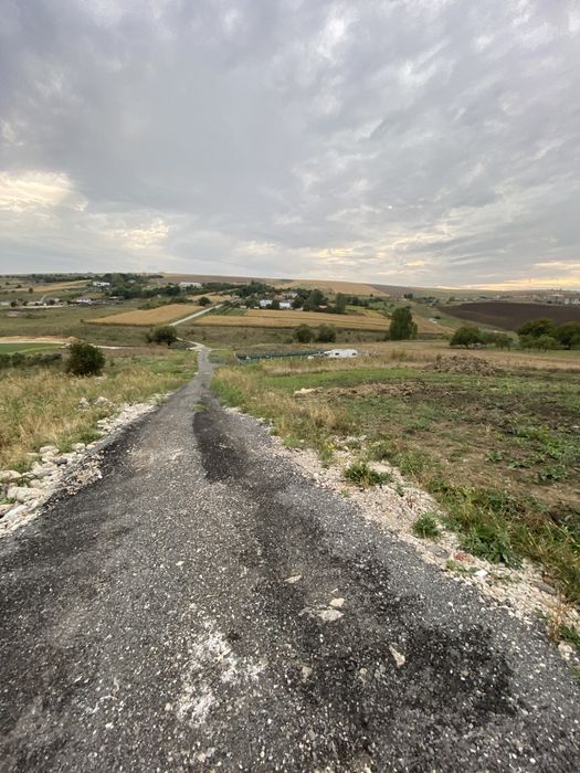 Teren zona Padureni/ Valea fanatelor / Dealu Fanatelor / Auchan Iris