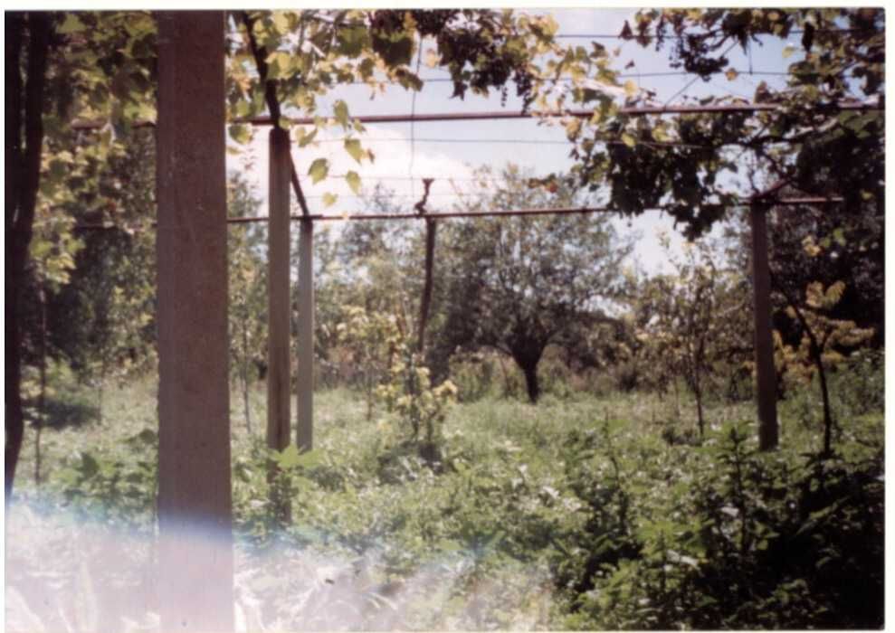 Продава се Къща в с. Савино, Област Ямбол - 75 кв.м за 157 €/кв.м - Снимка #5