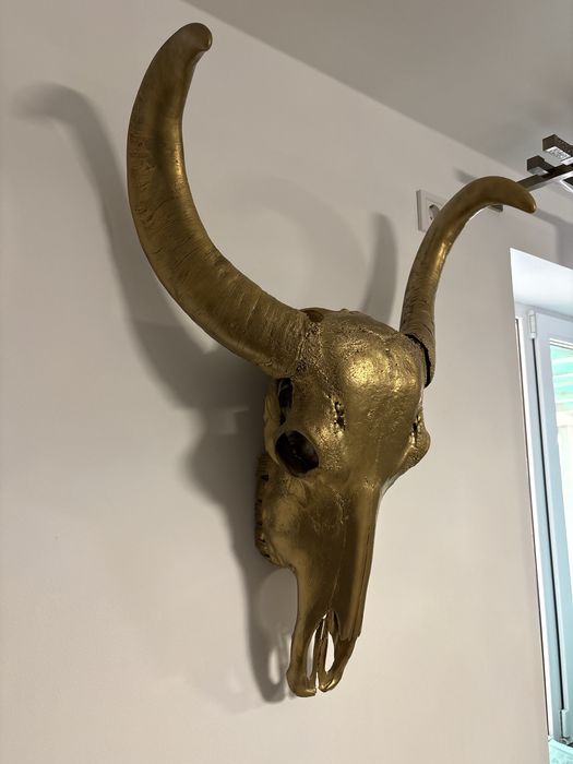 Obiect decorativ mare trofeu Bivol talie mare skull iasi centru