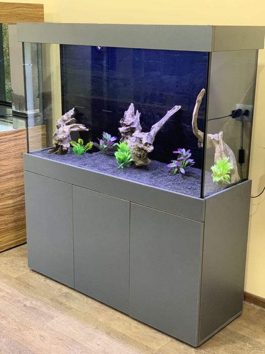 Аквариум | Бесплантная установка