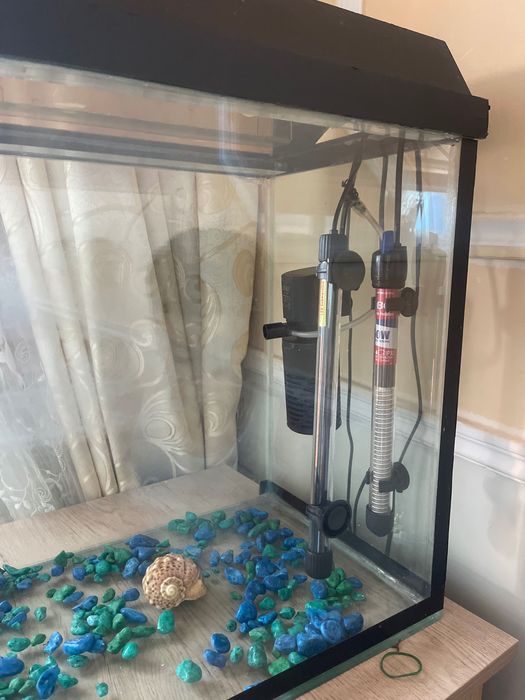 Большой аквариум