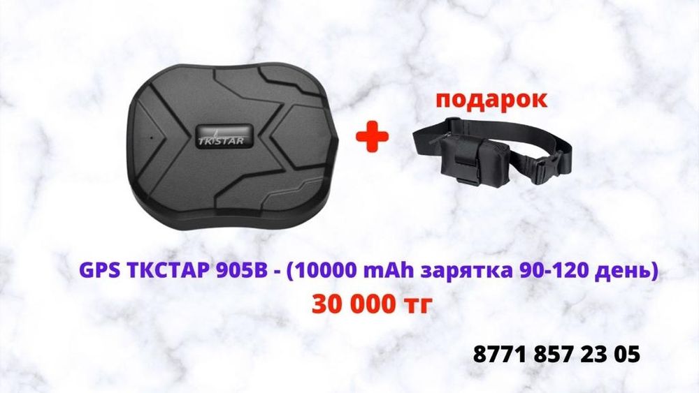 ЖПС трекер жылқыға GPS