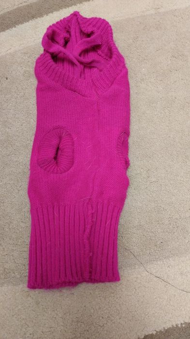 Hainute de cățel moderne