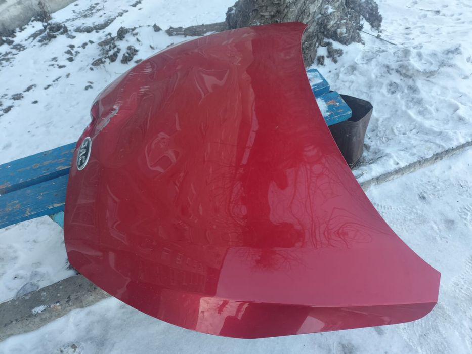 Jac j7  2023 год.  Капот