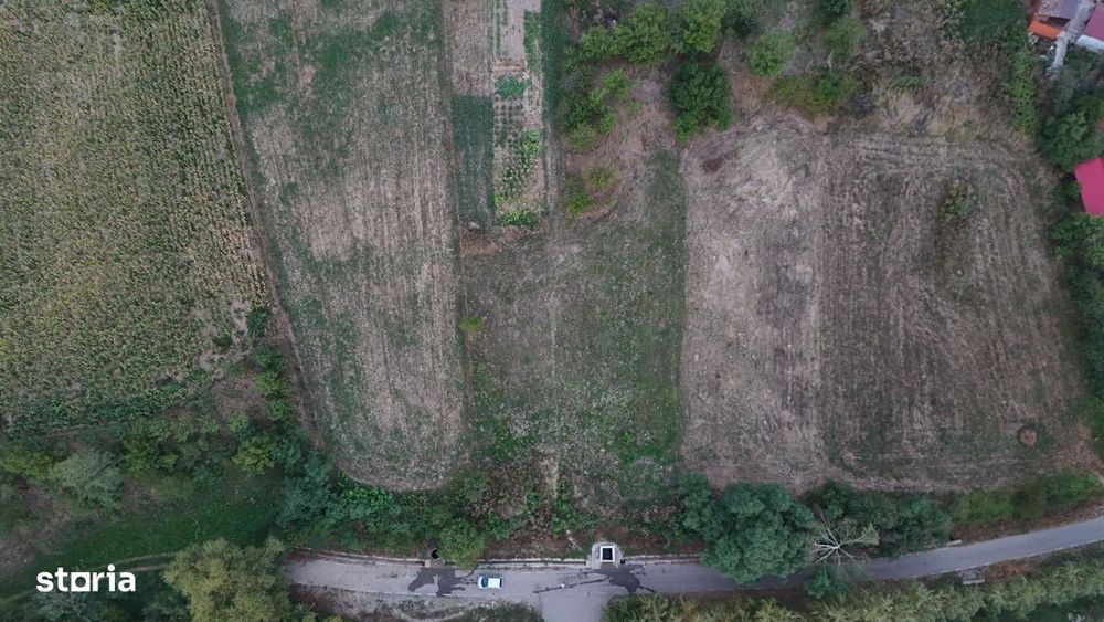 Teren 1500 mp in Balaia, Bihor, aproape de Oradea