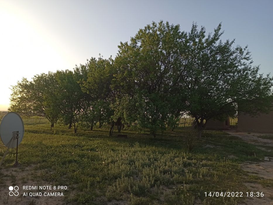 Uy sotiladi uy variantga ham sotiladi