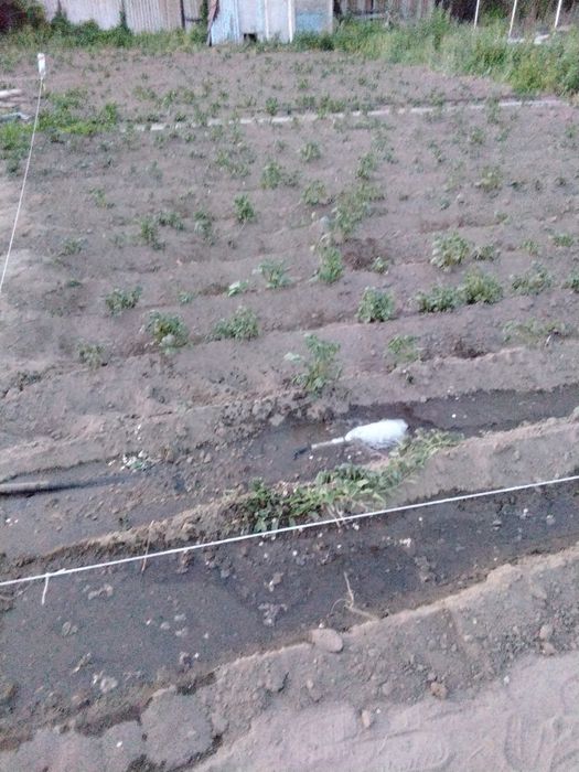 Продам дачу, дача летний вариант