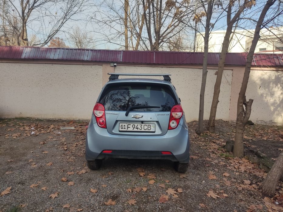 СПАРК 2015 1L.at.дельфин