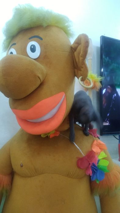 Когтеточка для кошек. Игрушка.