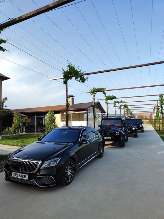 Картеж Kortej toy va radom chirchik 888