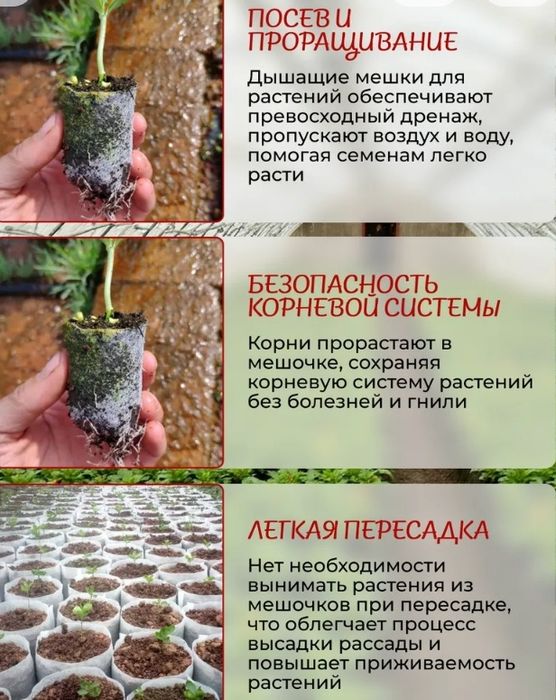 тара для рассады,биоразлагаемые мешочки
