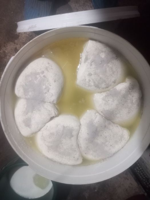 Brânză și lapte de vânzare