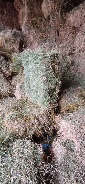 Beda press sotiladi 45 000 dan optimga kelishamiz