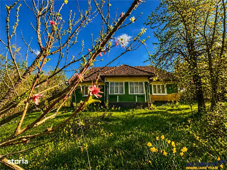 Casa traditionala,zona pitoreasca,domeniu de 3.400 mp,Suveica,Acatari,