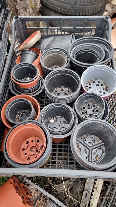 Кофички саксийки за разсад