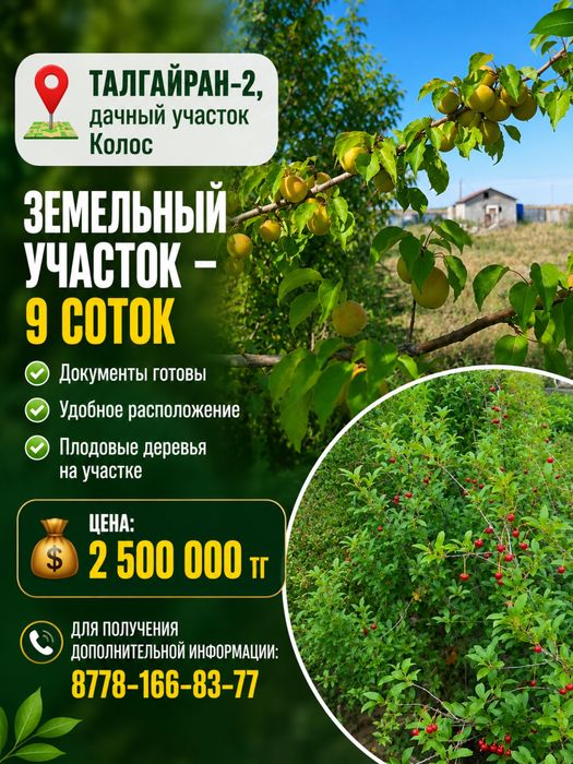 Талғайран 2, Коулс дачный участок