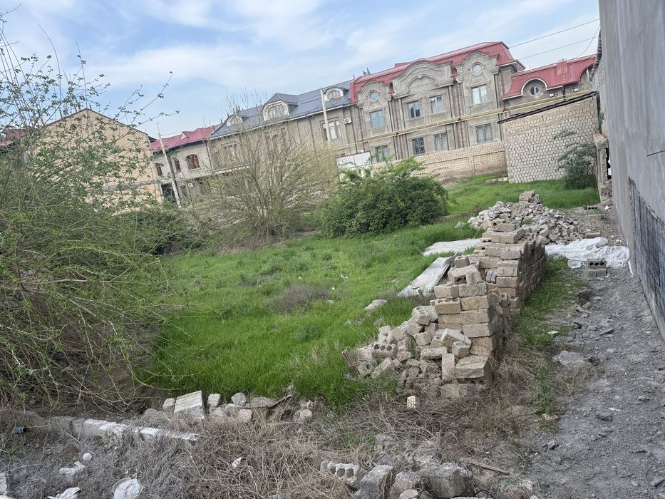 Ер СОТИЛАДИ изза теплица кочада