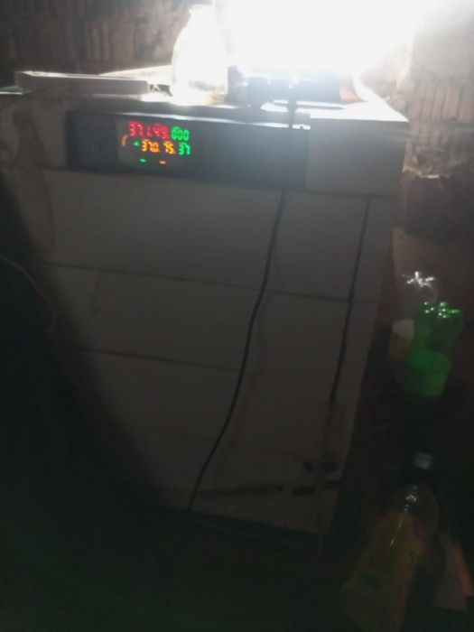 продам инкубатор