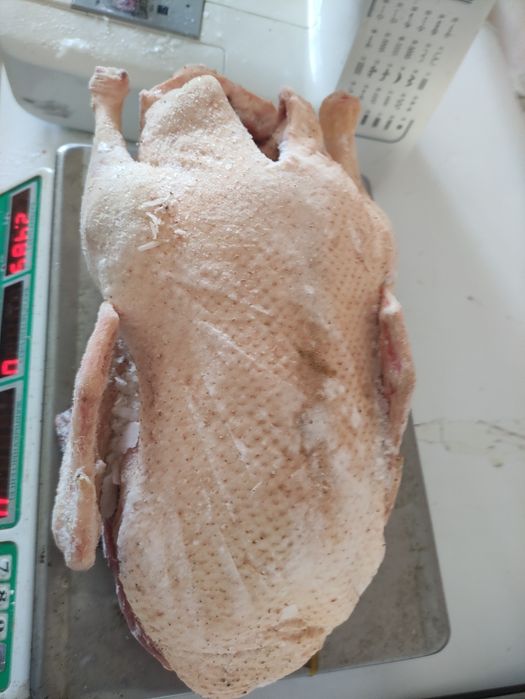 Продается масло домашние,гуси,утки,малина замороженная