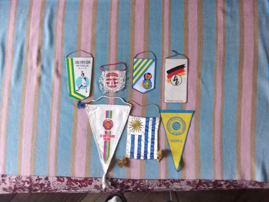 Fanioane echipe fotbal și handbal