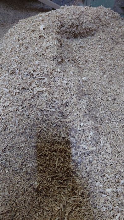 Продам опилки карагача сухие