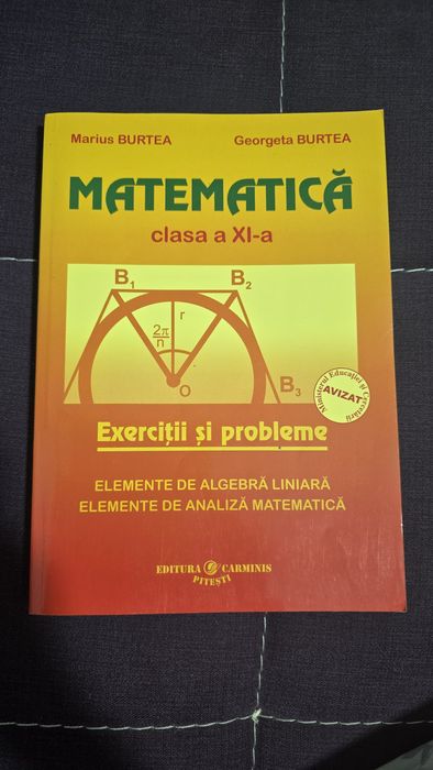 Matematica Burtea clasa a XI a