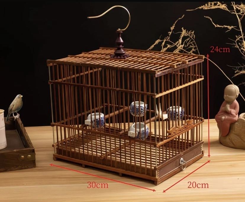 Коетки разные Шымкент