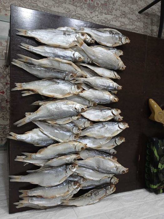 Продам сушеную воблу свежая