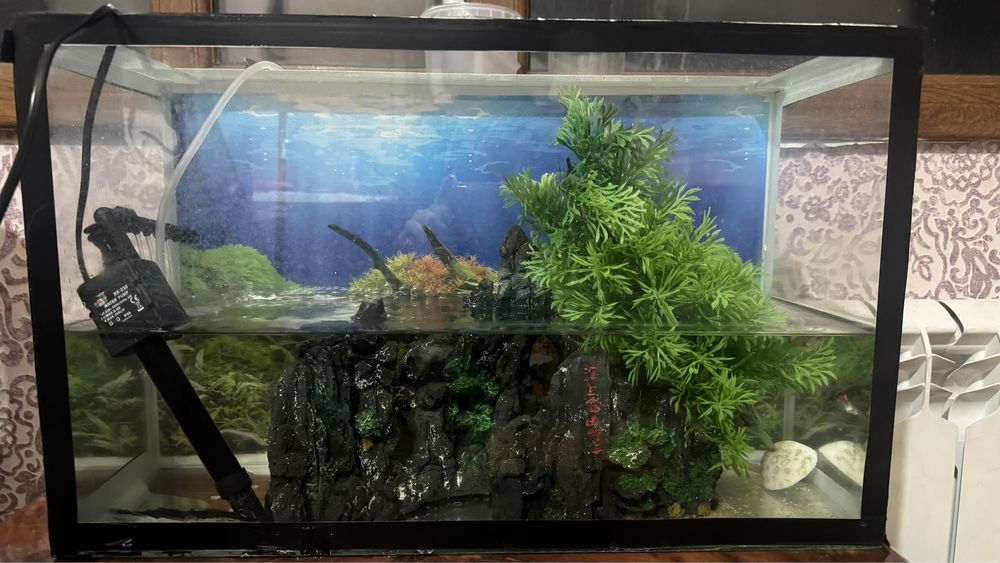 Аквариум продается