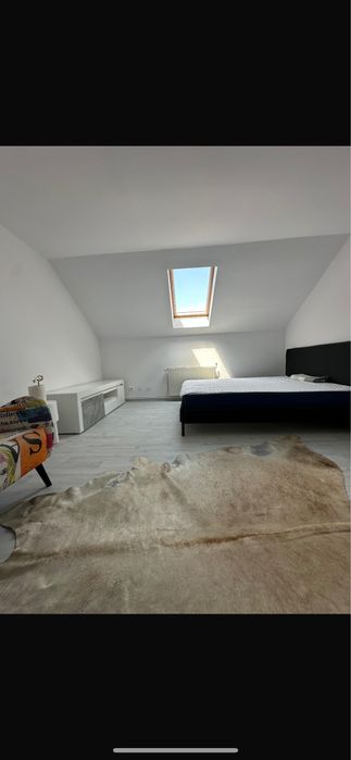 Vand ap 1 camera Frunzisului