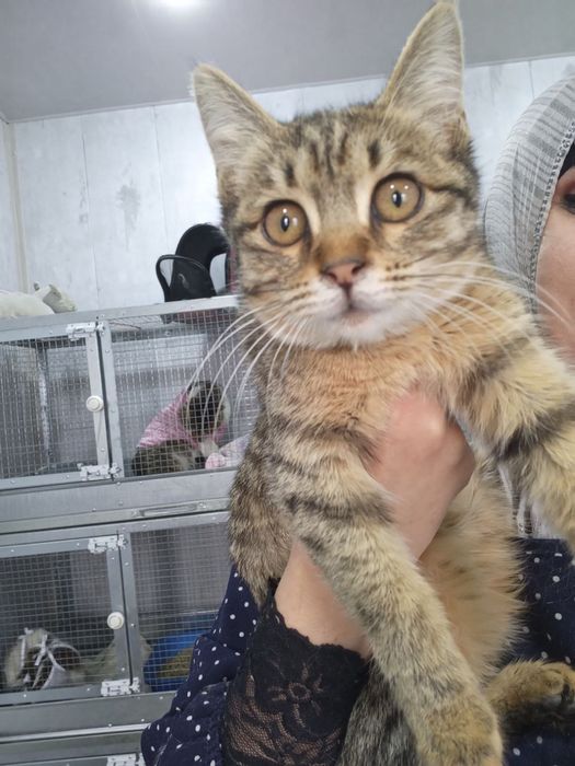 Девочка с хвостиком, как у зайчонка ищет семью!