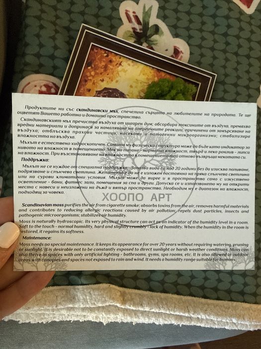 Декоративно пано / картина с естествен мъх