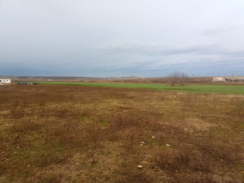 Vand teren intravilan 10.000mp