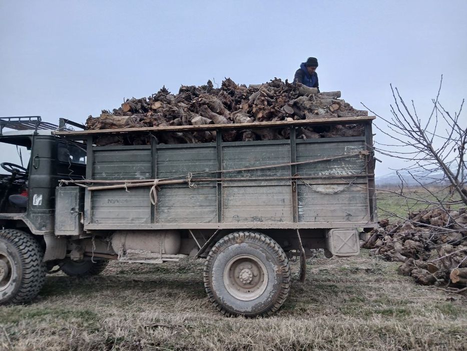 Газ 66 шишига Паркент