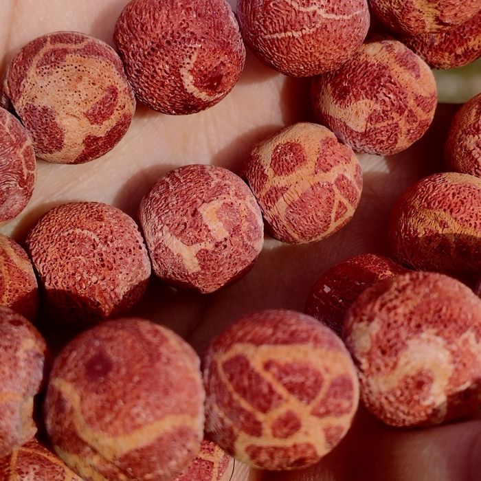 Натуральные кораллы Италия