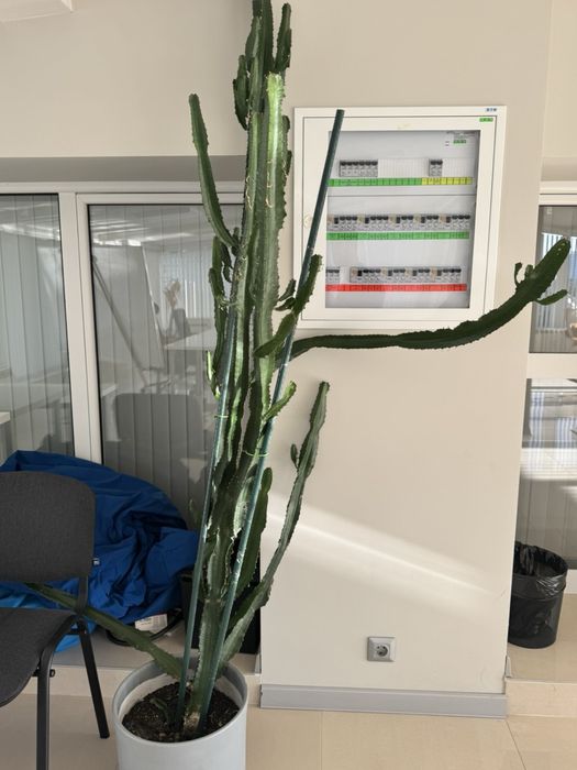 Офис обзавеждане